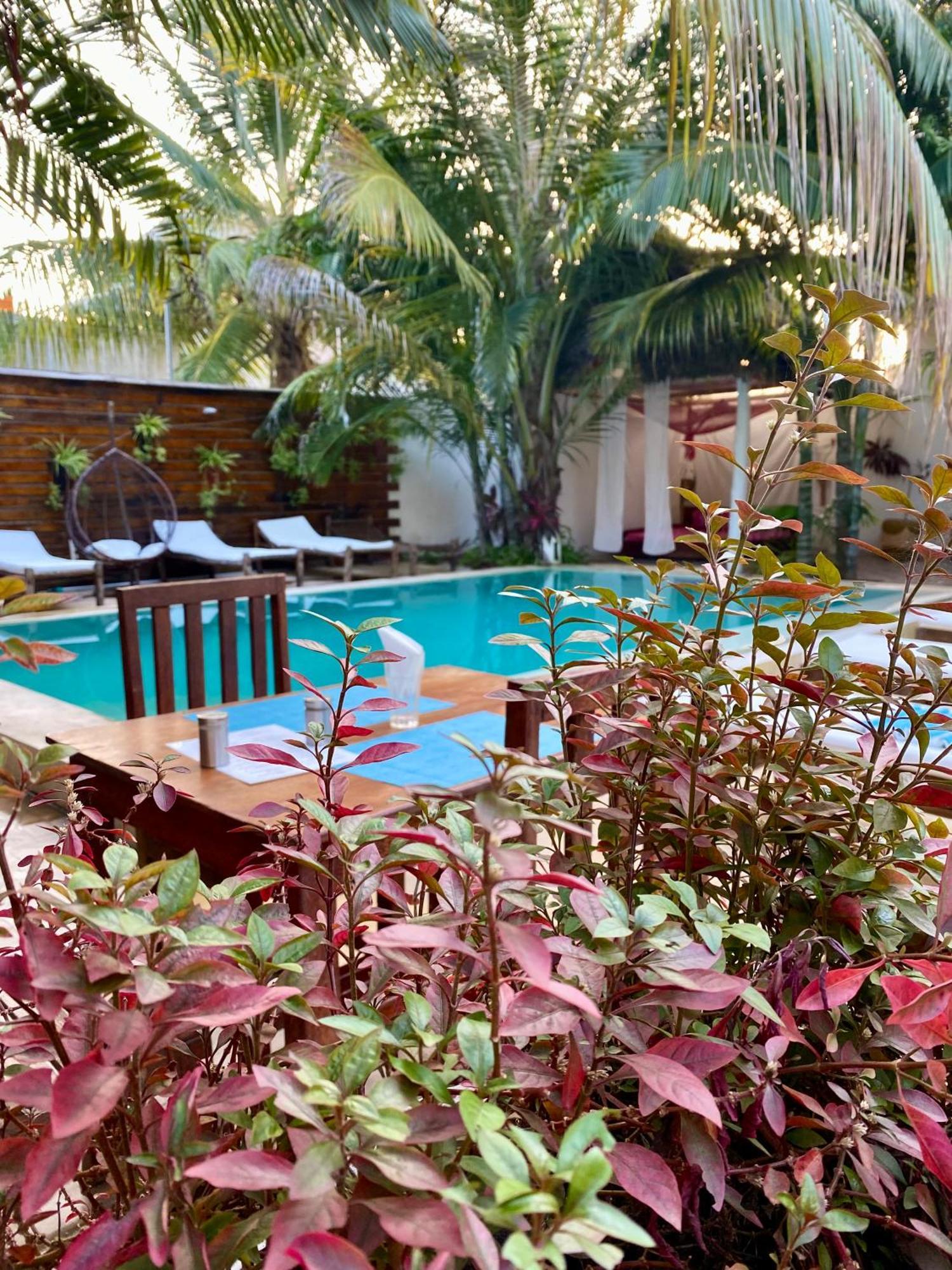 Cezere The Palm Hotel Paje Kültér fotó